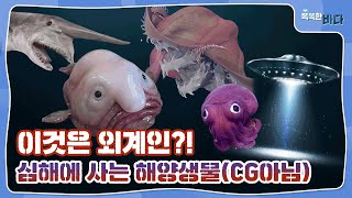 이것은 외계인?! 심해에 사는 해양생물(CG아님)