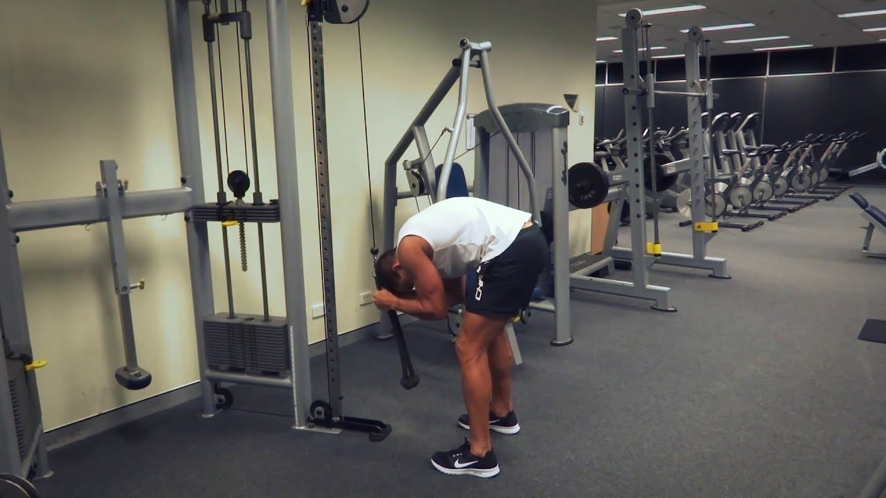 Standing Cable Crunches (Exercises.com.au) - YouTube