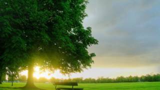 EQUILIBRIUM FOCUS for Advanced Concentration and Creativity screenshot 2