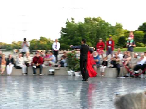 Quickstep Demonstration at Celebrate the Brant Inn 2009