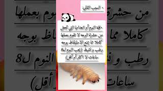 اكثر أسباب ظهور الحبوب البيضاء في الوجه (الفيديو كامل في قناتي ) #جمالك #وصفات #أسباب_و_حلول#short