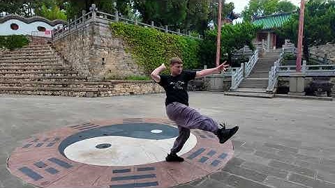 Taiji Mantis "mother form" Masterclass COMING SOON