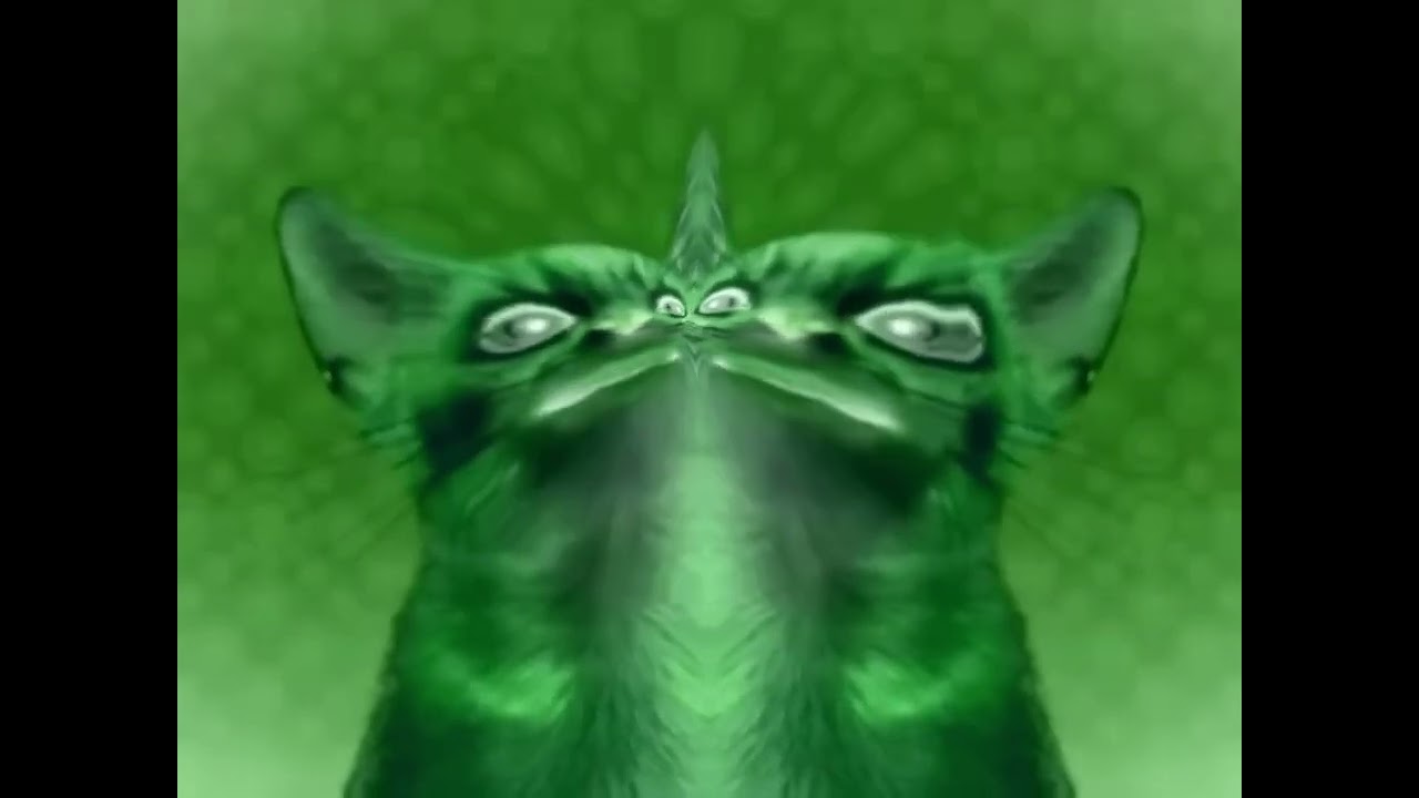 ANIMATED SPOOF MUSIC VIDEO NUMA CAT BLIND 