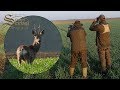Roebock hunting in Vojvodina, Backa Palanka 2019. - Rehbockjagd in Vojvodina