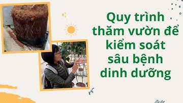 Quy trình thăm vườn để kiểm soát sâu, bệnh, dinh dưỡng - FUNOFARM