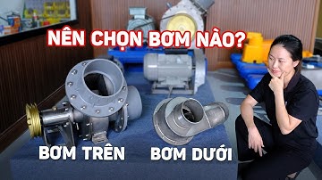 SO SÁNH: Máy Bơm Đặt Trên Bờ và Bơm Đặt Dưới Nước - Có Gì Khác Nhau? Nên Chọn Bơm Nào?