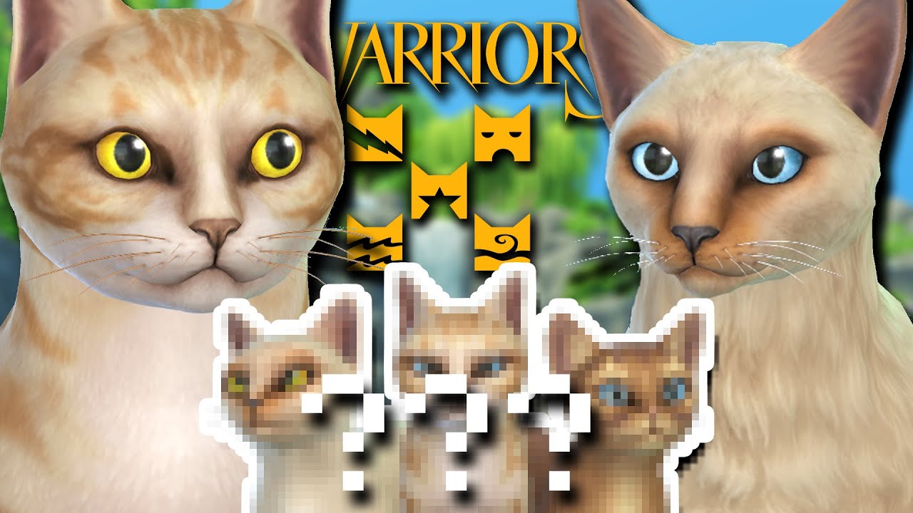 family cats　0101 ♡ sddefault.jpg