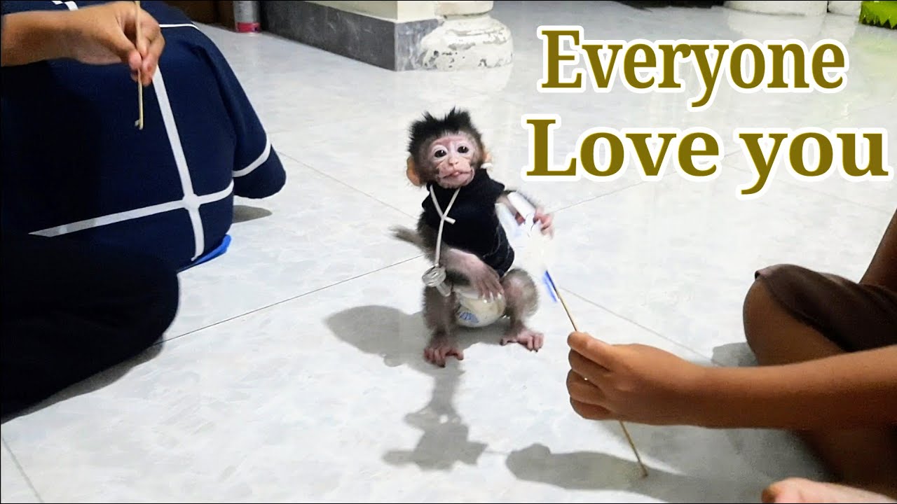 In our family, everyone want to play with libby