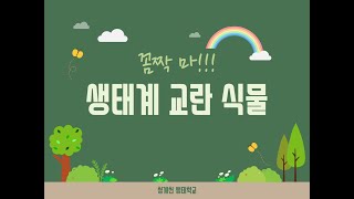 청계천 생태계를 괴롭히는 XXX가 있다고???썸네일