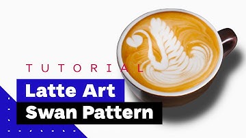Latte Art For Beginners: How To Pour Swan (Latte Art Tutorial) 🦢