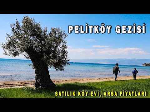 Pelitköy, Burhaniye (Pelitköy Satılık Ev ve Arsa Fiyatları?)