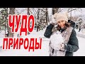 Новороссийск 14 02 2021 / Снег - чудо природы / Болталка / Наши  Новости