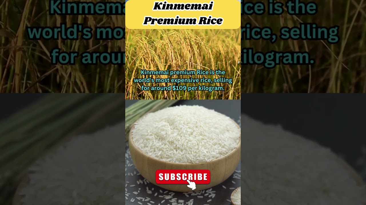luxury rice experience  