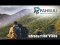 About our pahruli tours