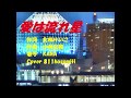 愛は流れ星   KANA             Cover細道