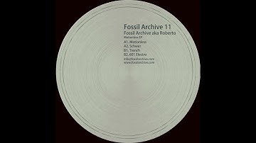 Fossil Archive - Schwer (Fossil Archive, FAUK011)
