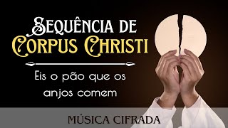 Vídeo de Sequência De Corpus Christi