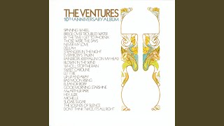 Video thumbnail of "The Ventures - Never My Love"