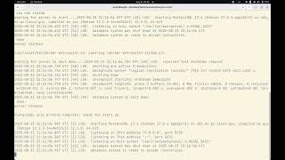 Setting up Postgres Vector Extension with Docker Container