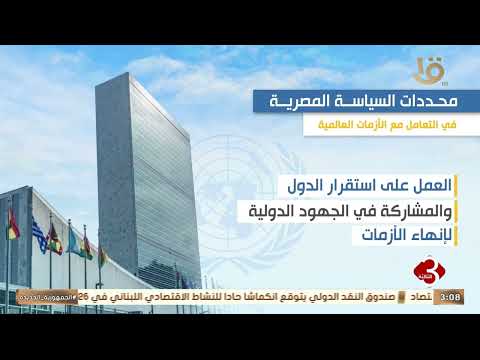 Infographic: Egypt's Policy Determinants in Addressing Global Crises