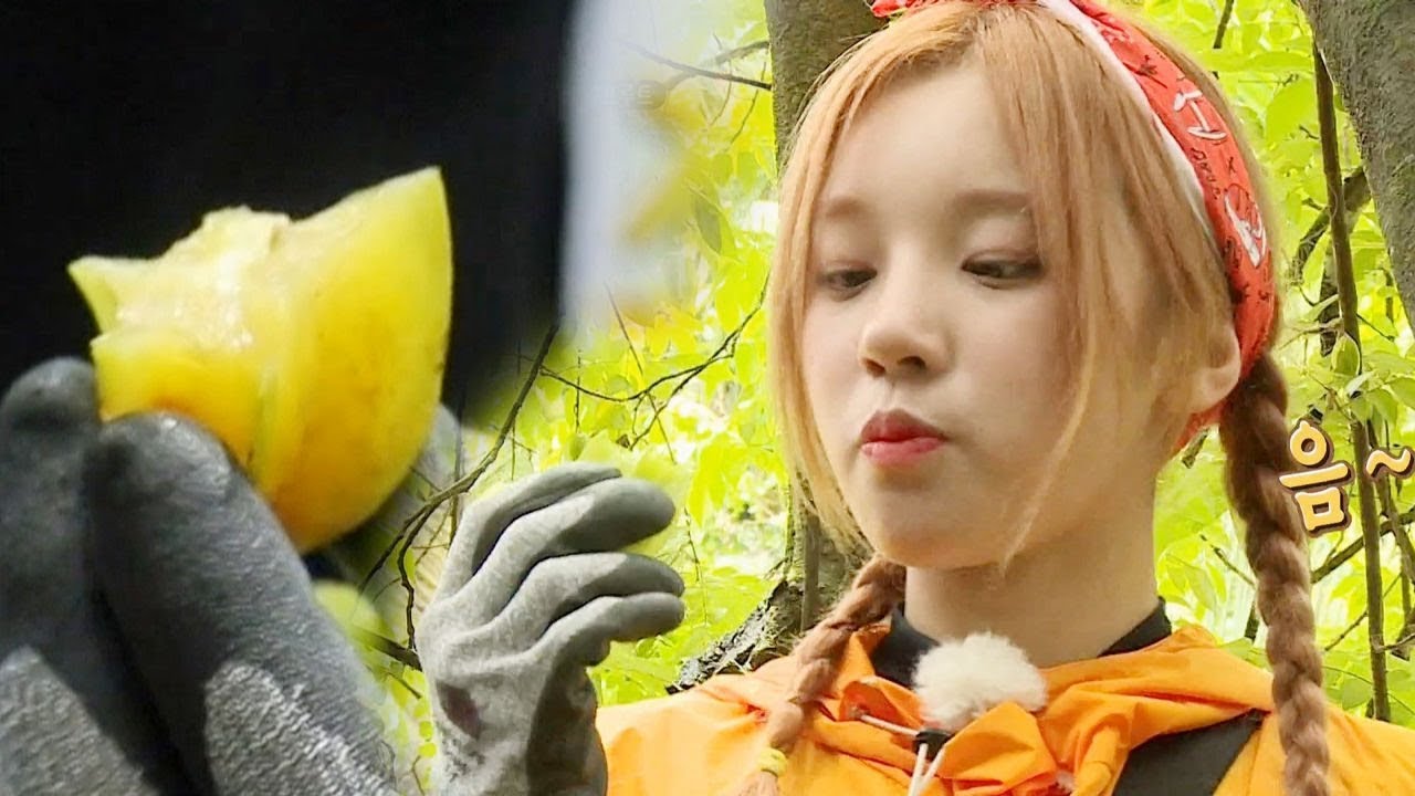 ‘과일 귀신’ 우기, 침샘 자극하는 ‘스타 프루트’ 먹방! @김병만의 정글의 법칙 380회 20190907