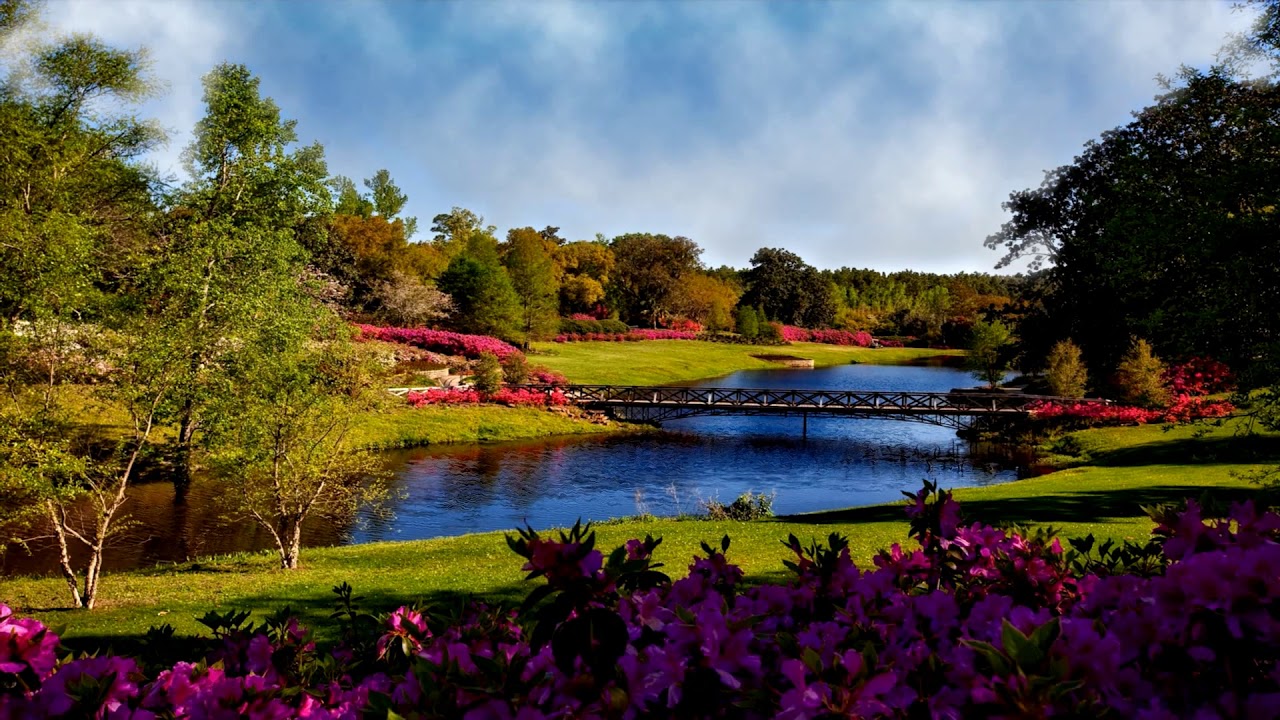Gorgeous Spring Showers - YouTube