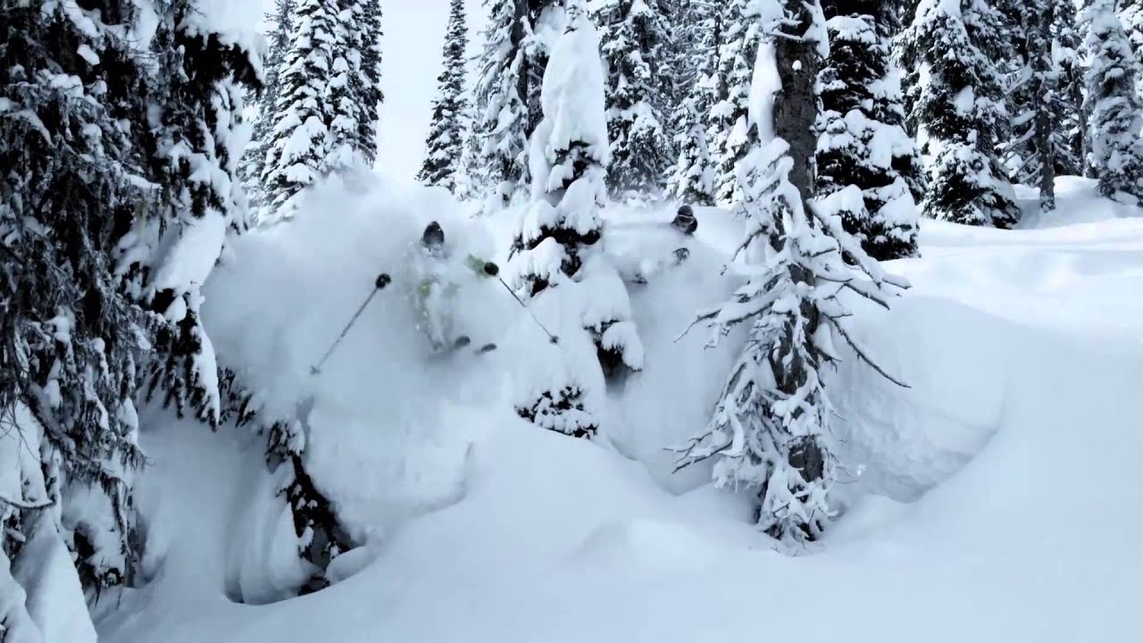 This Is Powder Skiing Hd Youtube for Incredible  how to ski powder in trees intended for The house