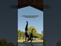 Cali meet up @Cort_sw #calisthenics #motivational #motivation #athlete #fun #funny #challenge #skill