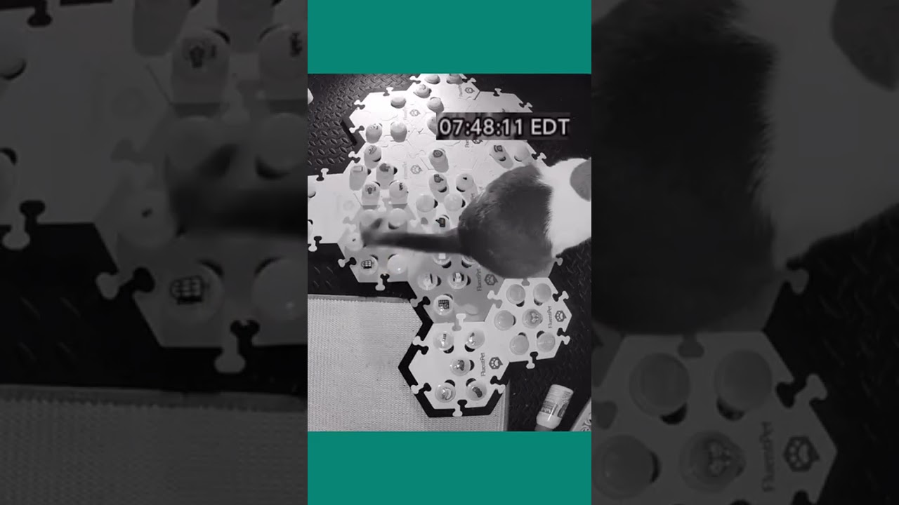 This morning, Ernie was on a mission! Request after request, he made it clear that he had plans –