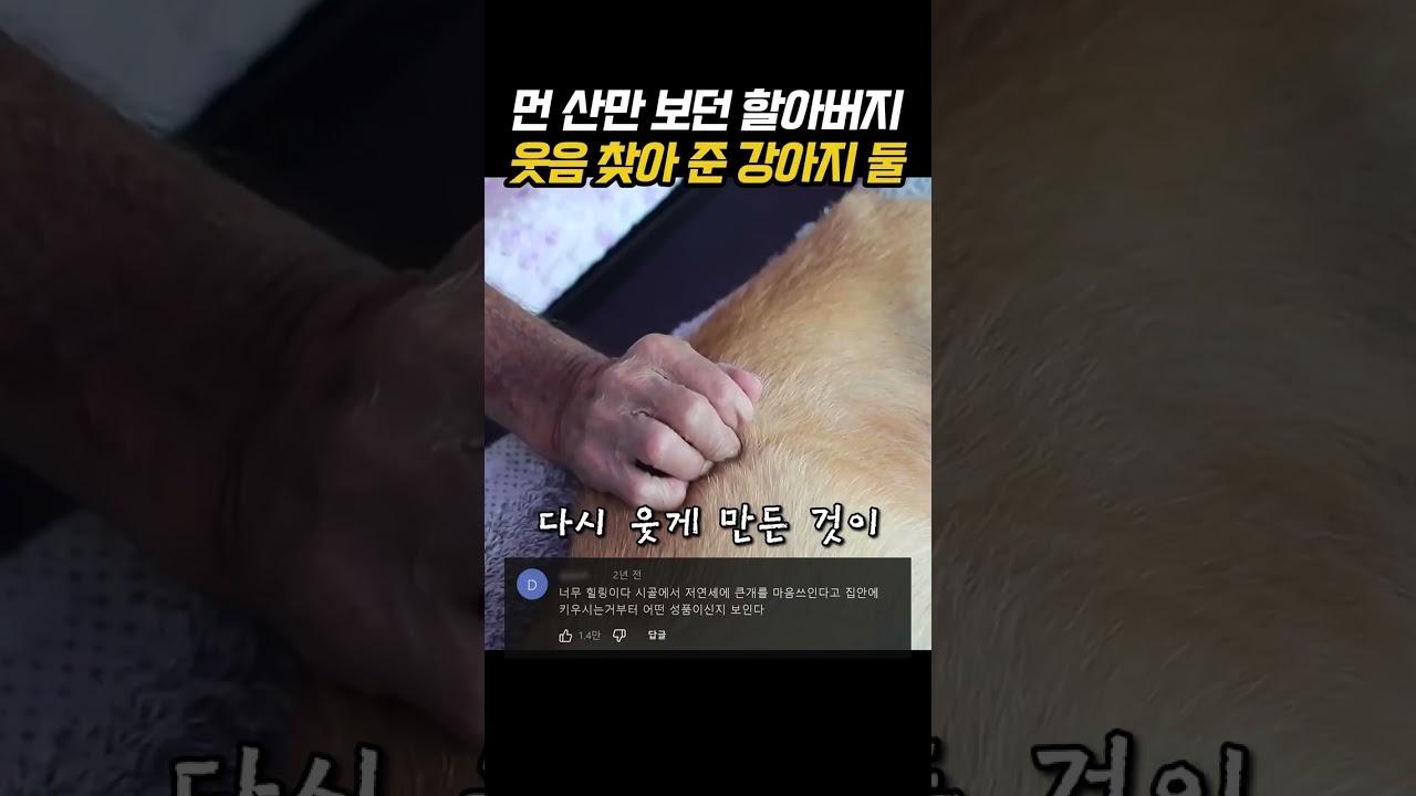 먼 산만 보던 할아버지 웃음 찾아 준 강아지 둘