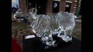 Ice Sculptures' show