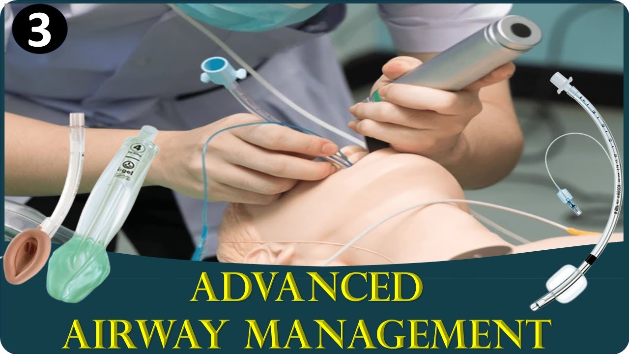 Advance air way (94) 사진