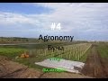 #4 Agronomy / Буча / Vlog