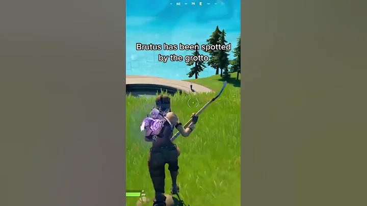 RARE FORTNITE EASTER EGG WITH BRUTUS!