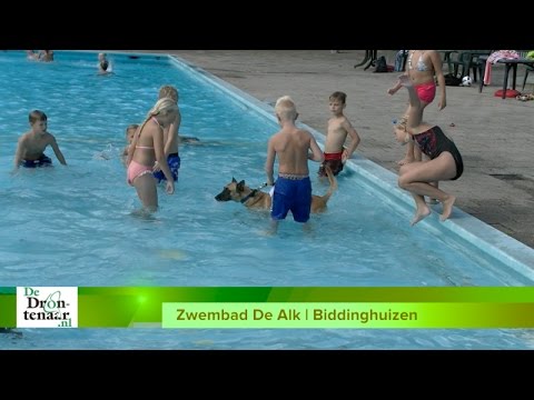 Zwembaden Biddinghuizen en Swifterbant sluiten seizoen af met hondzwemmen