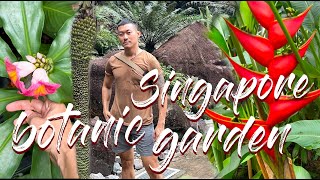 Diverse Plants of Singapore Botanic Garden | An Immersive Tour