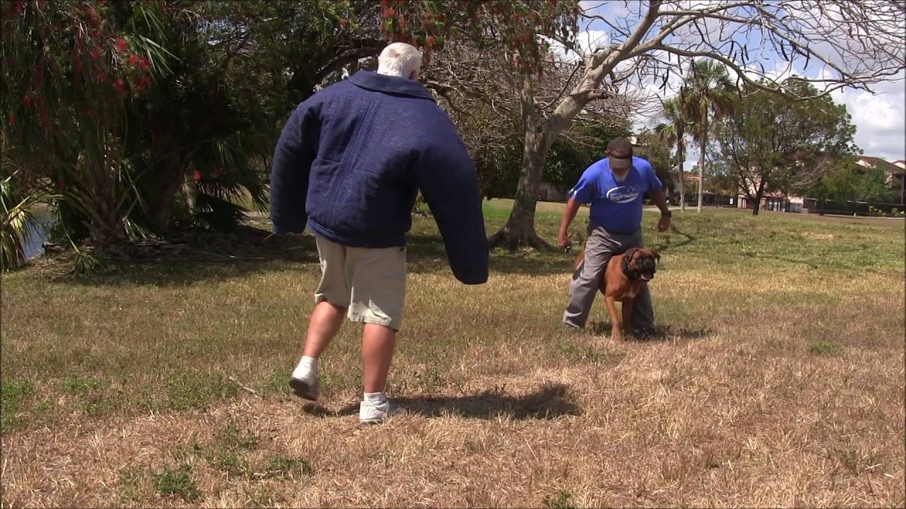 richard heinz dog trainer