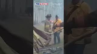 🔥 FIERY DEFENSE: Firefighters In Brantley County, Georgia, Continue To Defend Against A Wildfire
