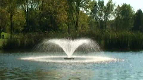 Kasco Aerating Fountain - 1/2 HP, 120V, 150Ft. Cord, Model# 2400VFX150