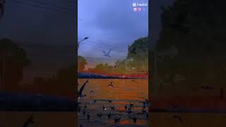 Dealova once Tami Aulia