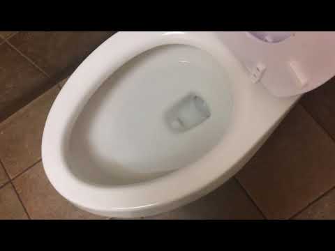 Pet Smart Men S Restroom Full Shoot