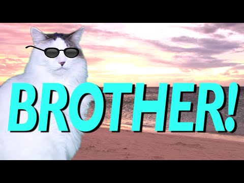happy-birthday-brother!---epic-cat-happy-birthday-song