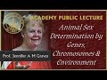 Prof Jennifer A Marshal Graves Speaks On Animal Sex Determination
