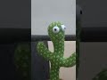 #shorts with catus