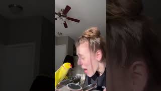 Birds Video Short Clips#birds #birdslover