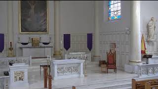 Basilica of St. Joseph Church Live Stream