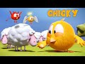 Wheres chicky funny chicky 2020  chickys choice  chicky cartoon in english for kids