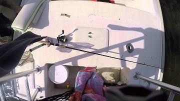 Falling off polling platform