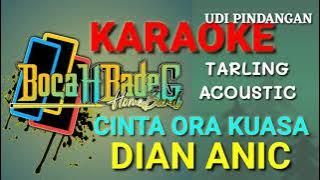 CINTA ORA KUASA (DIAN ANIC) (TARLING ACOUSTIC) KARAOKE LIRIK