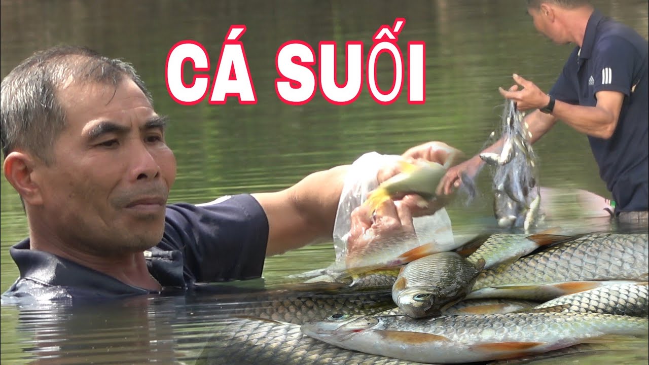 GIĂNG LƯỚI BẦY CÁ SUỐI SAU CƠN LŨ | TRÃI NGHIỆM NGŨ RỪNG THƯỞNG THỨC ĐẶC SẢN MIỀN NÚI